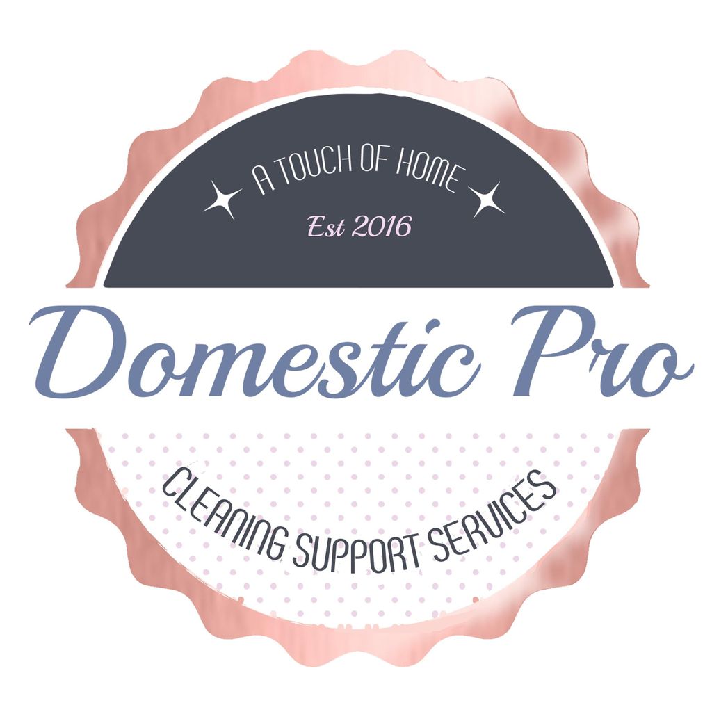 Domestic Pro Cleaning Support Services
