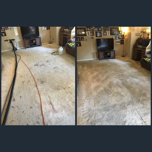 From Dirty Carpets to Clean!