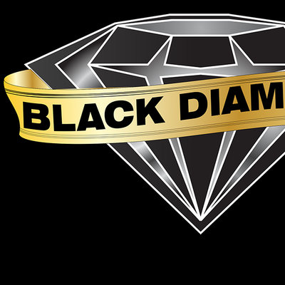 Avatar for Black Diamond Valet, Inc