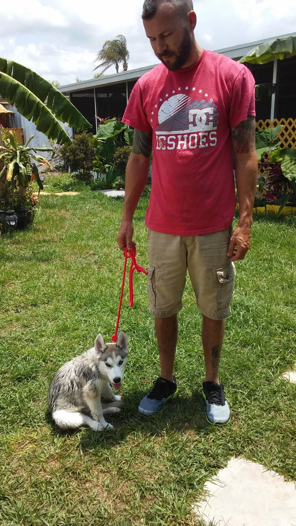 9 week old Meadow learning basic obedience