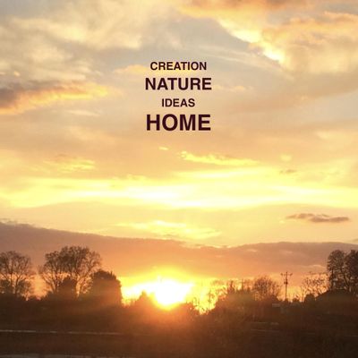 Avatar for Alma Home Solutions LLC