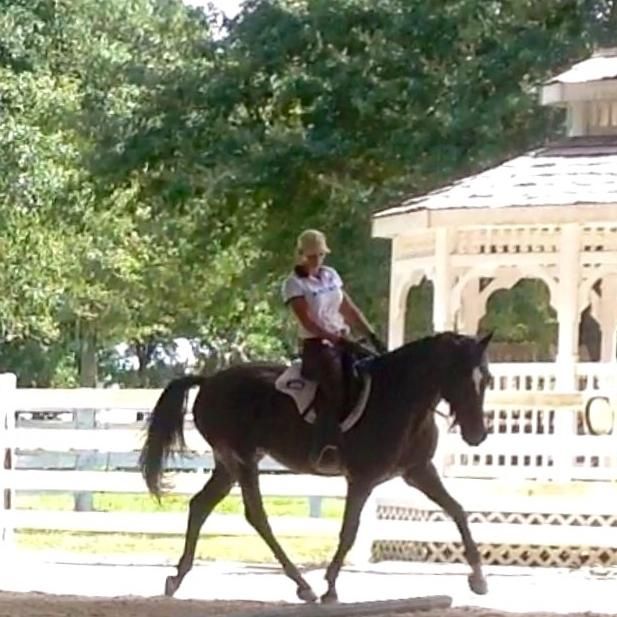 Nikki Velez Sardi Intrinsic Equestrian