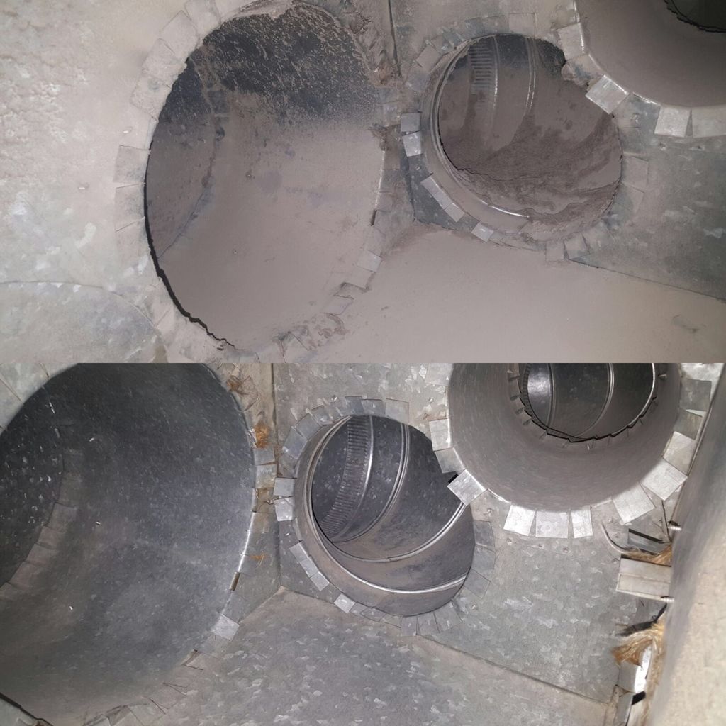 Before and after a deep cleaning treatment!