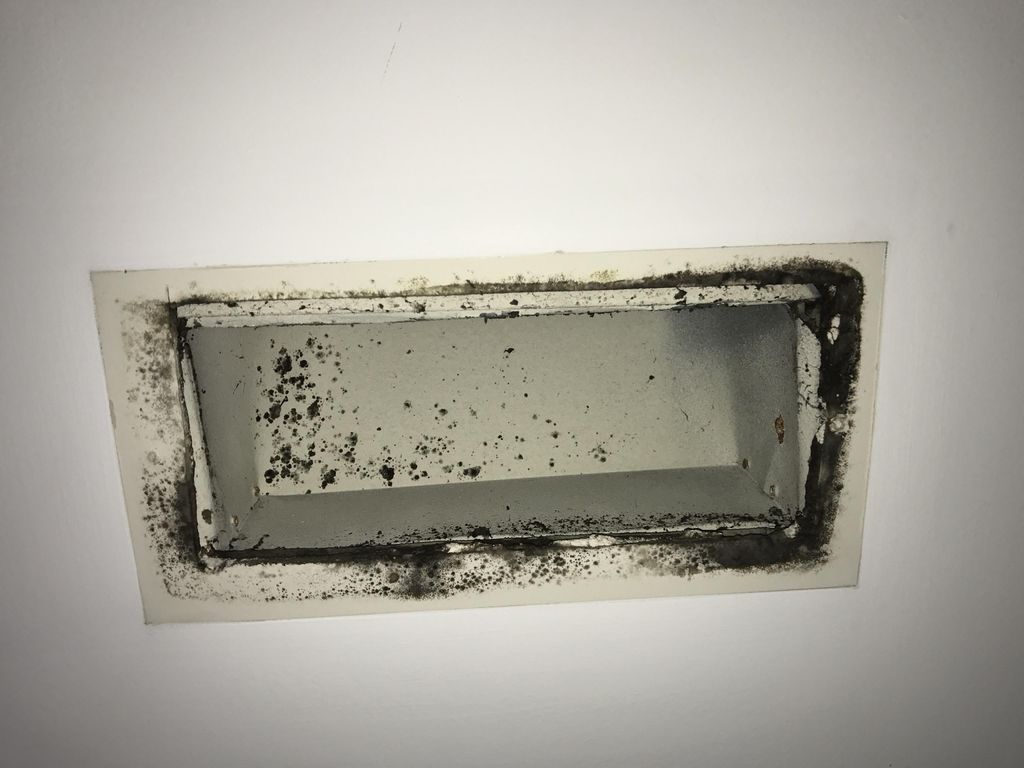 Mold spreading from the ducts to the ceiling.