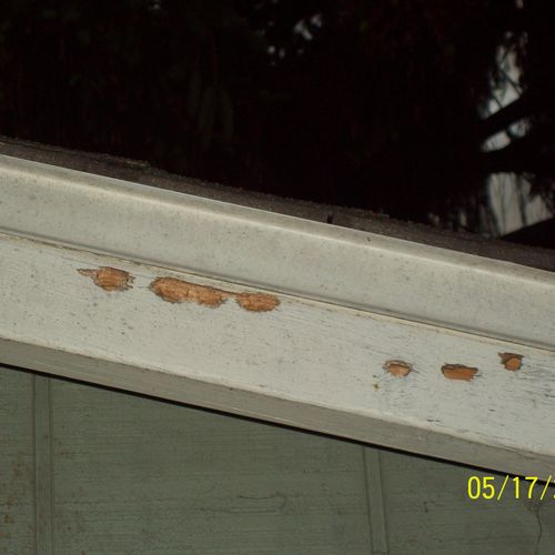 This is an example of the damage Wood Boring Beetl