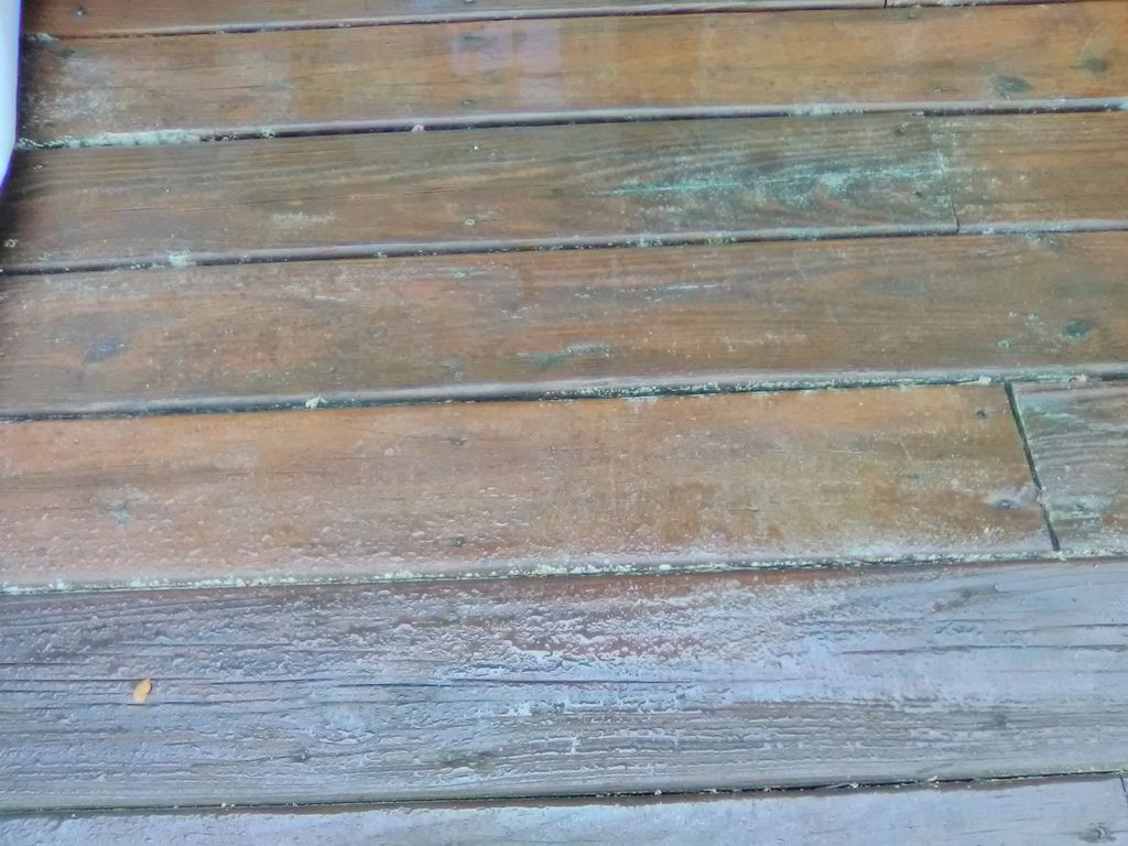 Pollen filled deck.