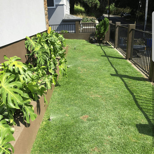 sod installation & irrigation set up