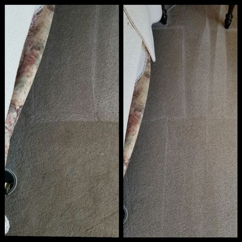 Professional carpet cleaning before and after