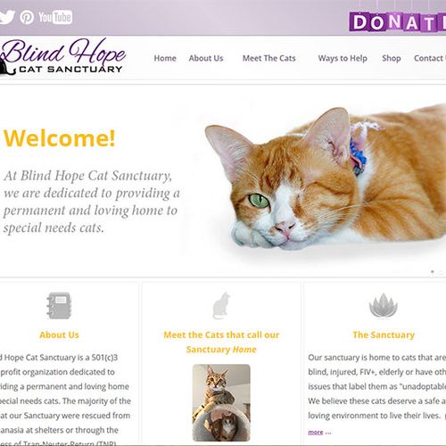 Blind Hope Cats Sanctuary
[ Blind Cat Sanctuary ]

