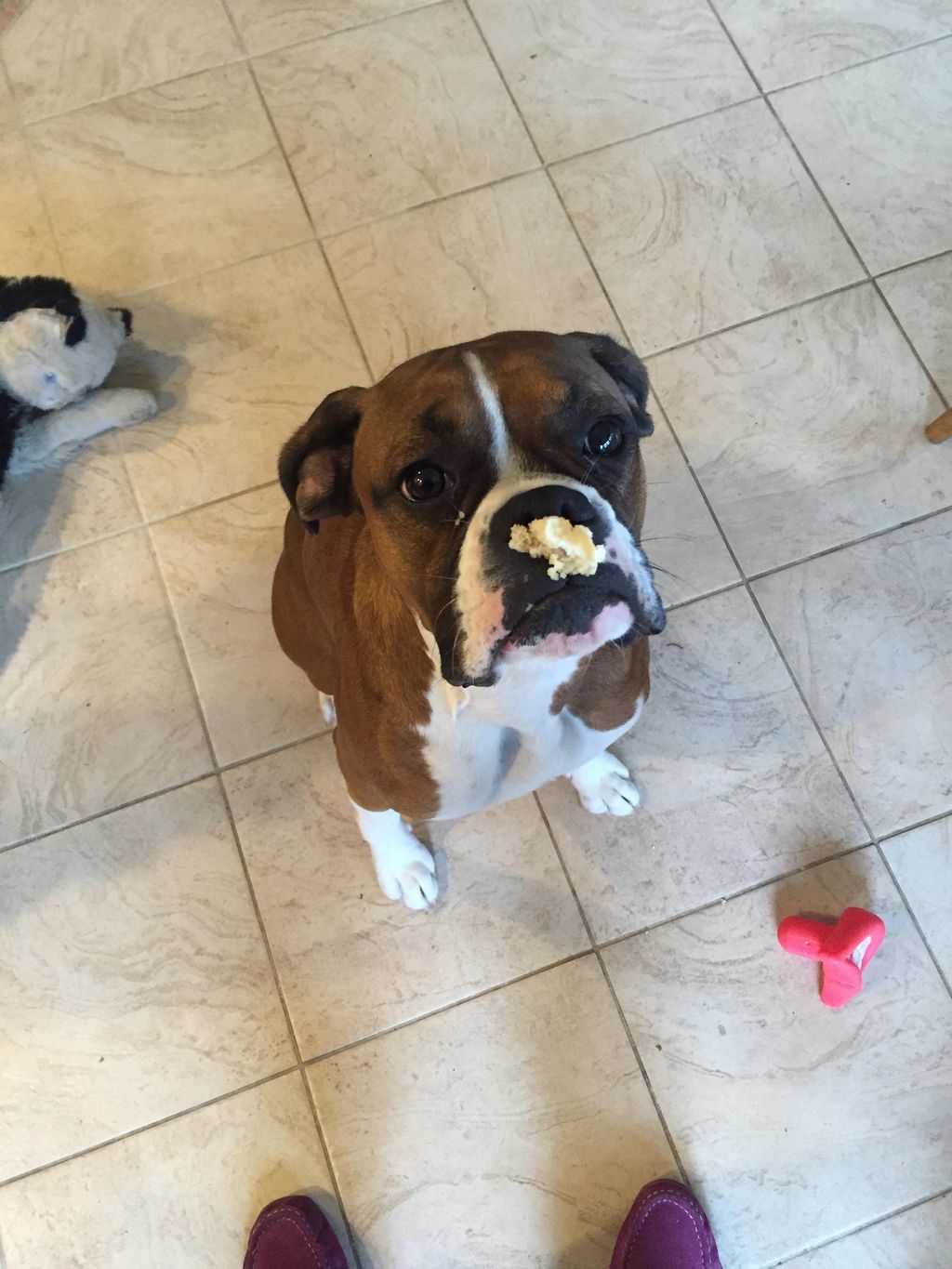 Finale (aka Boom) working on some impulse control