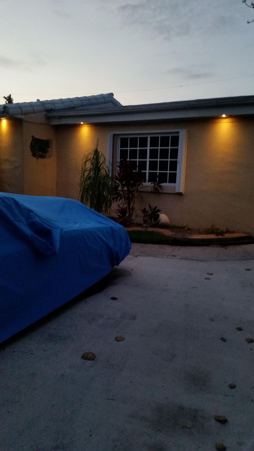 under the  Eve lights  accent