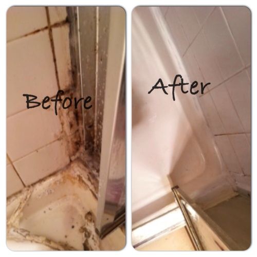 Mold Removal, Cleaning, and Re- Caulking