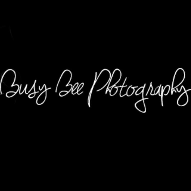 Busy Bee Photography