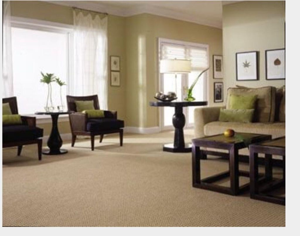  Carpet Cleaning 