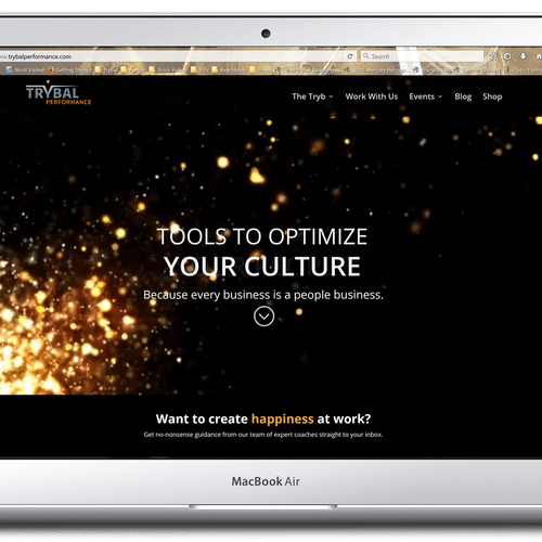 Website created for Trybal Performance