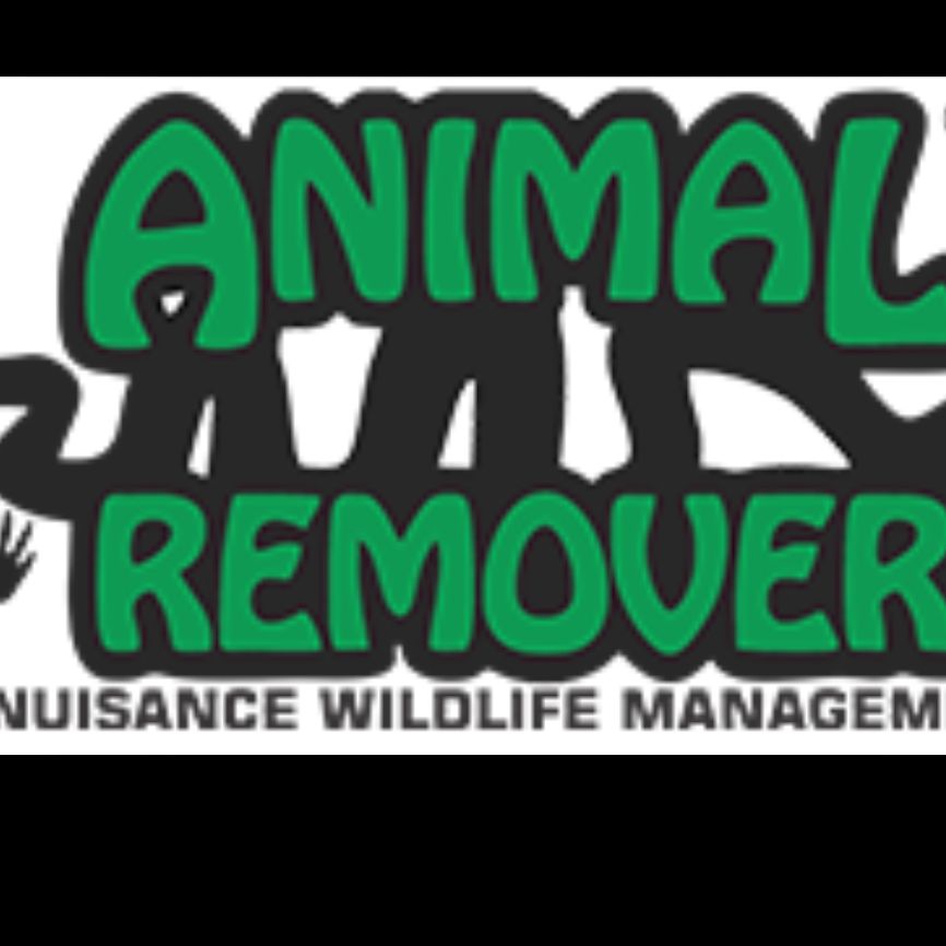 D and j pest and rodent removal