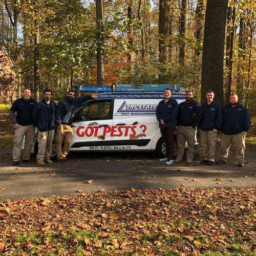 Got Pests? Our technicians are available now!