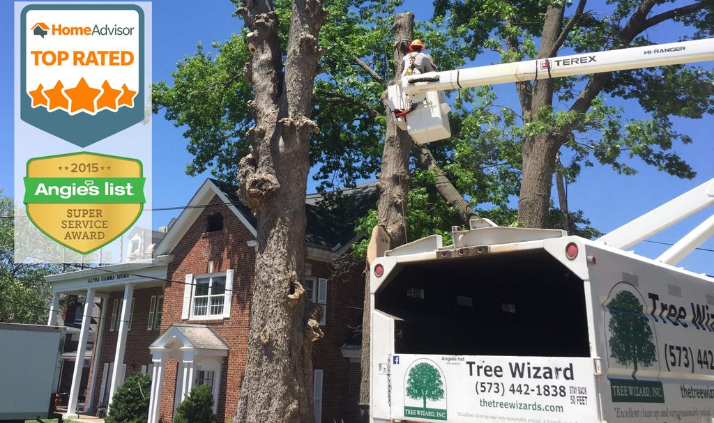 University of Missouri Tree Trimming