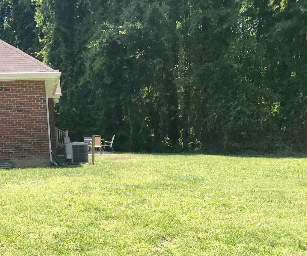 Heavy invasive vine growth on property. 