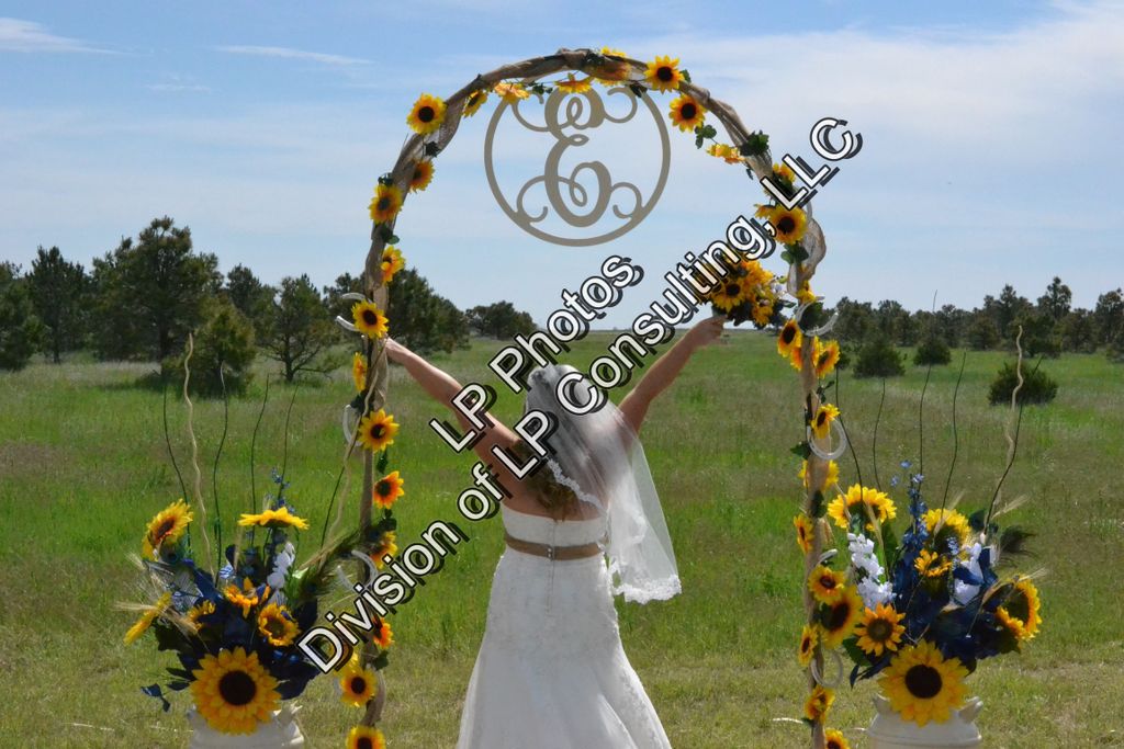 Example of a wedding picture outdoors