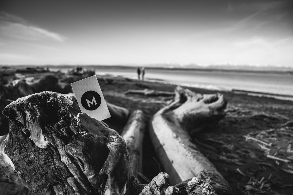 Monarch in Seattle!