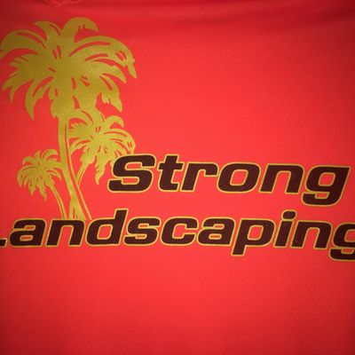 Avatar for Strong Landscaping & Pressure Washing