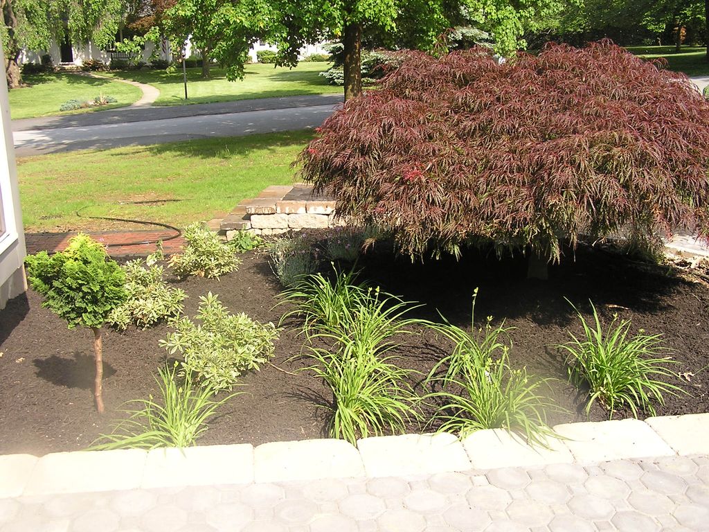 front foundation planting along a patio