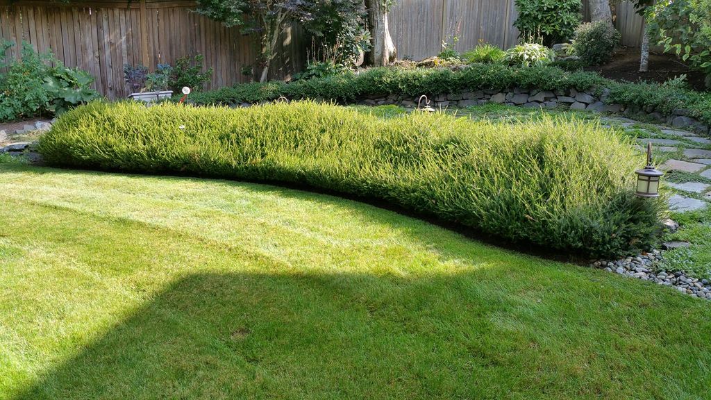 Lawn Mowing and Trimming