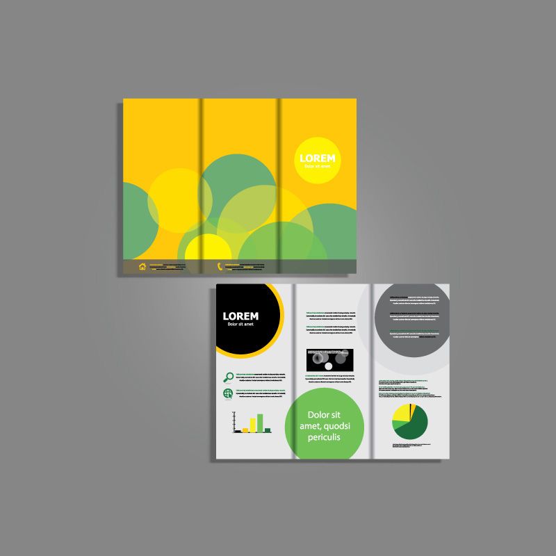 Tri-Fold Brochure