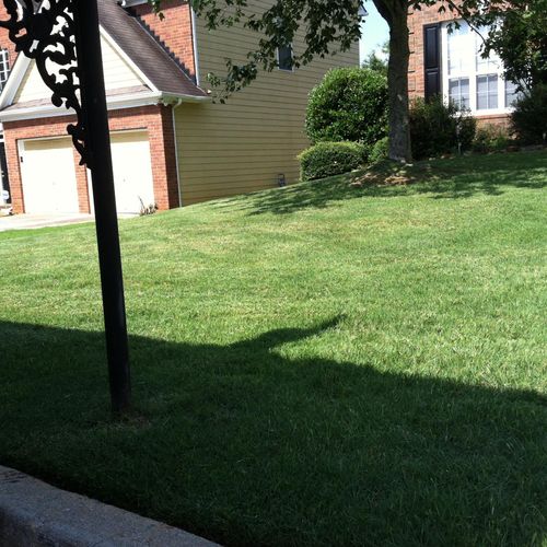 AFTER: Three rounds of lawn treatment with herbici