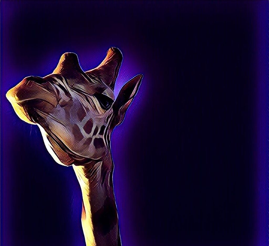Graphic Image/photograph