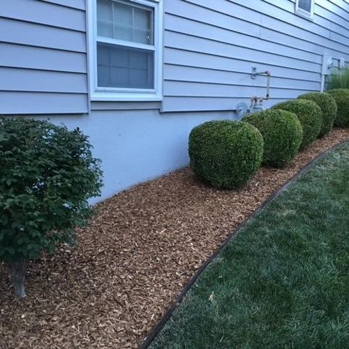 Trimming bushes, mulching and lawn care.