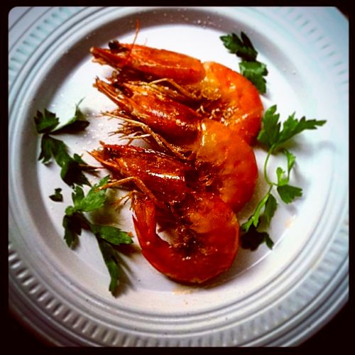 Succulent shrimp
