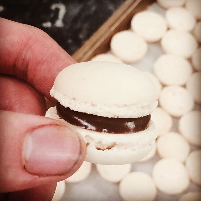French Macaron