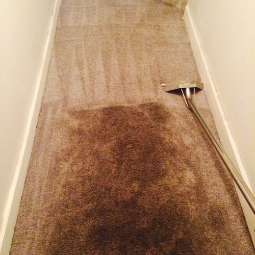 Greasy Basement carpet in customers basement . Son