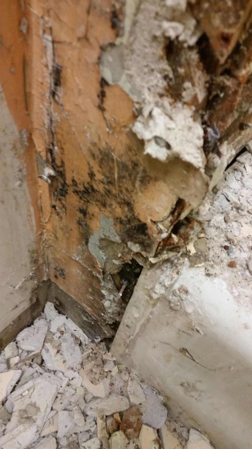 B4- discovered water damage &mold 