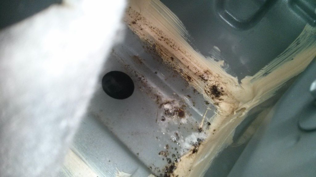 Mold Infestation in the trunk of a car