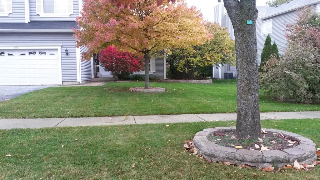 Fall clean up and weekly maintenance