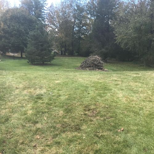 Tree Removal in Holland, MI - After