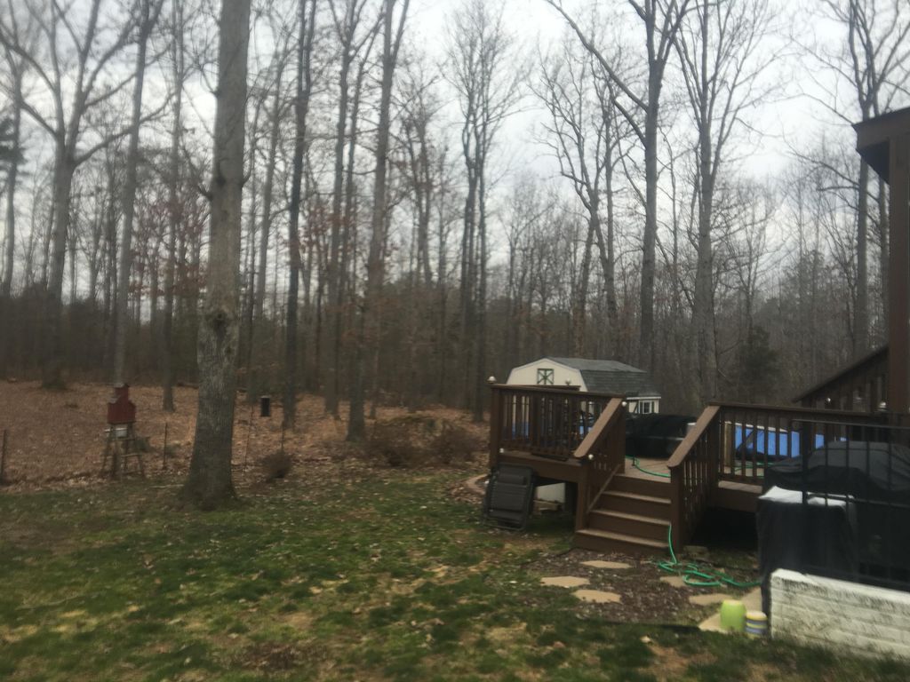 Oak tree removal. Diseased wood bore insects. The 