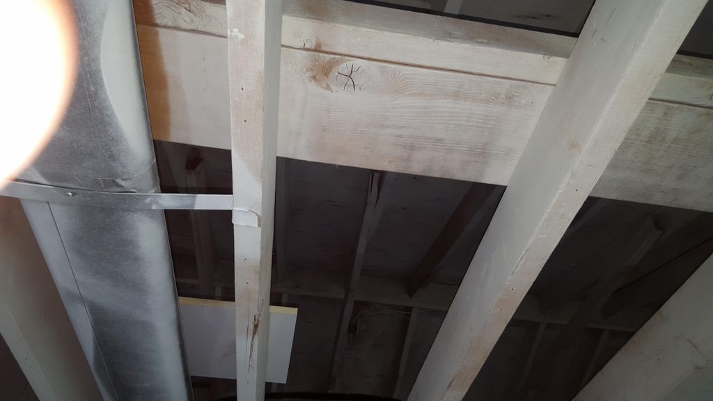 Mold Remediation Work