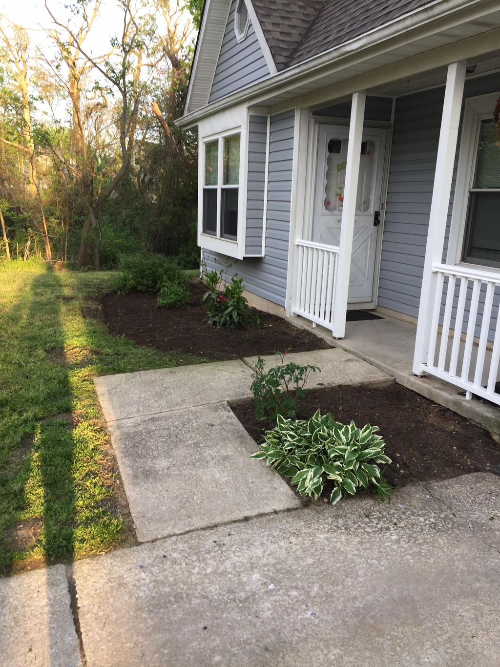 Beginning of the garden out of my house 