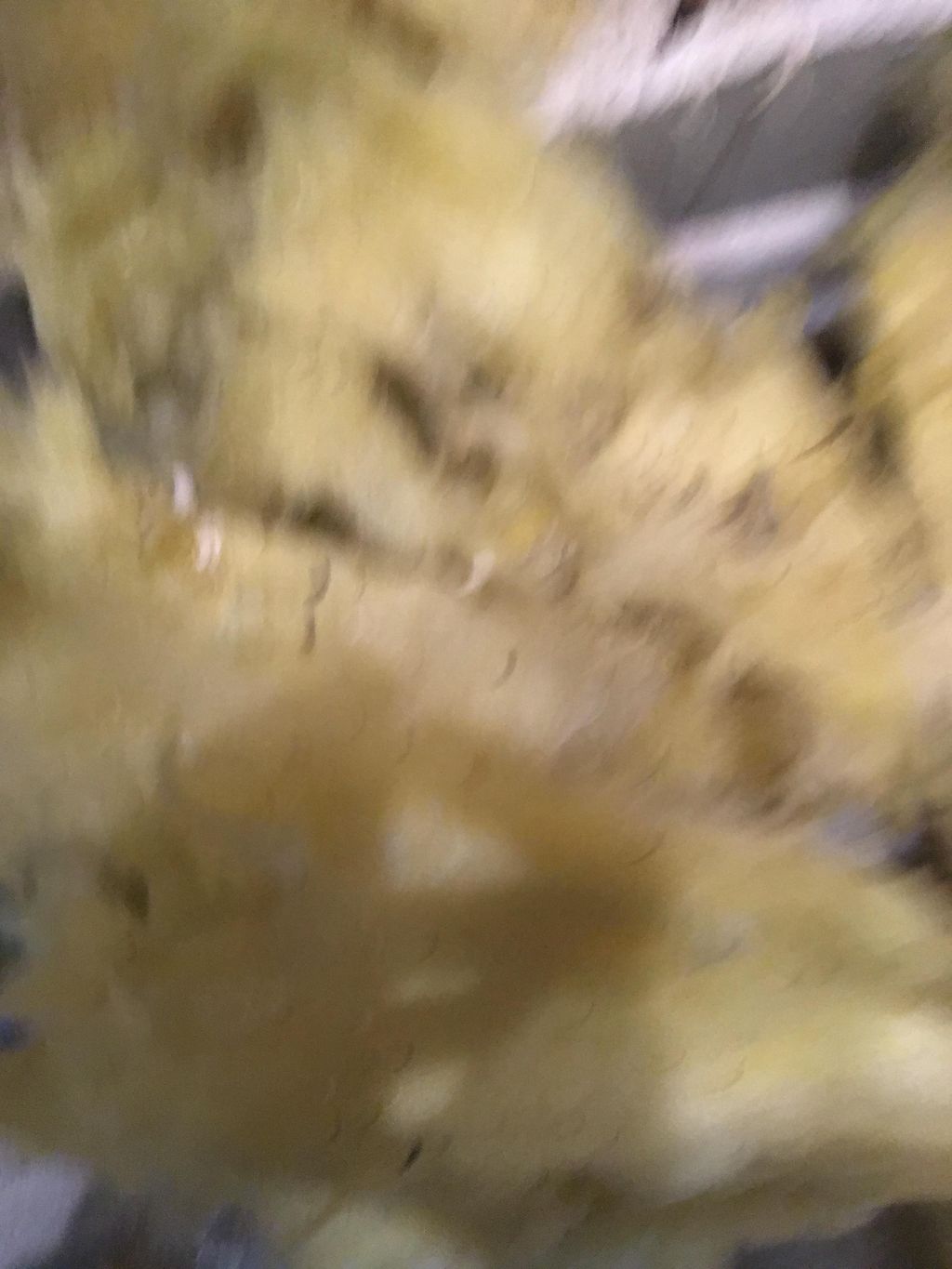 Rat soiled insulation 