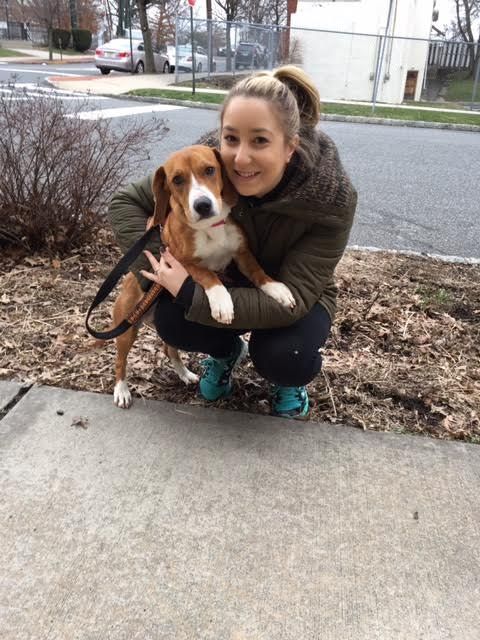 I volunteer and walk dogs sometimes for Montclair 