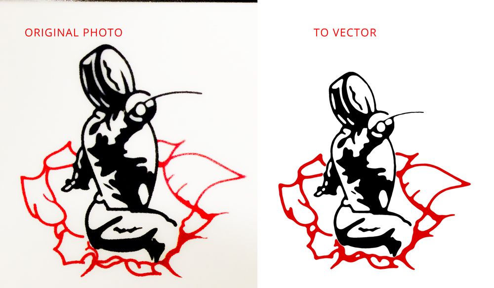 Convert a graphic into a vector