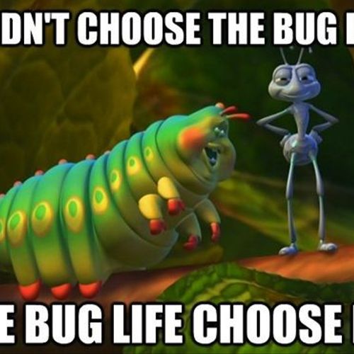 That's why he's "The Bug Guy"!!
