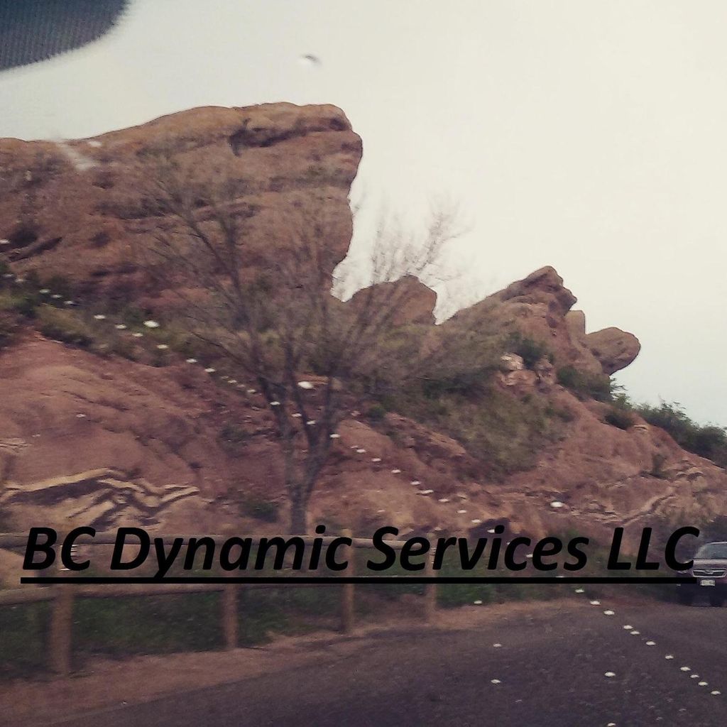 BC Dynamic Services