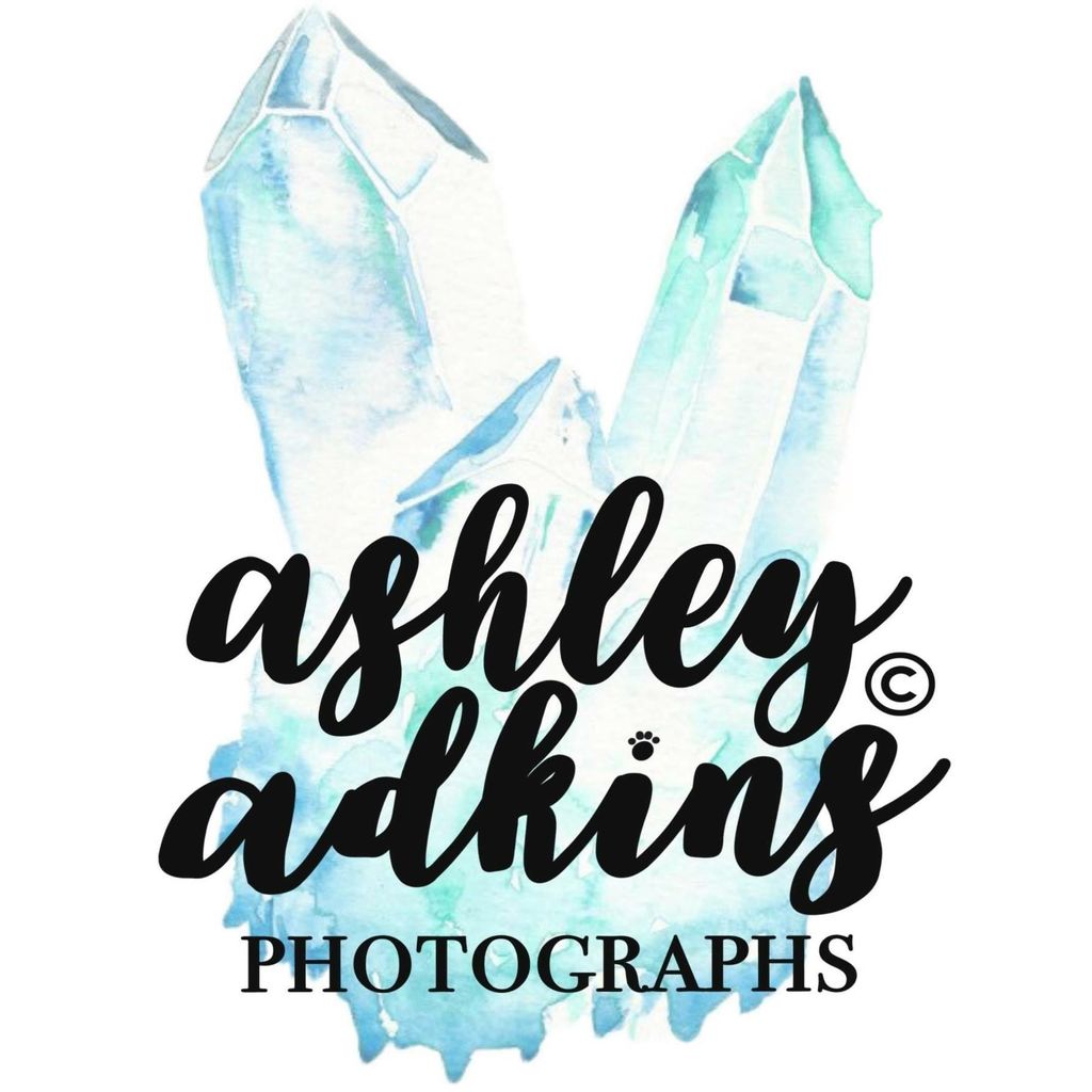 Ashley Adkins Photographs
