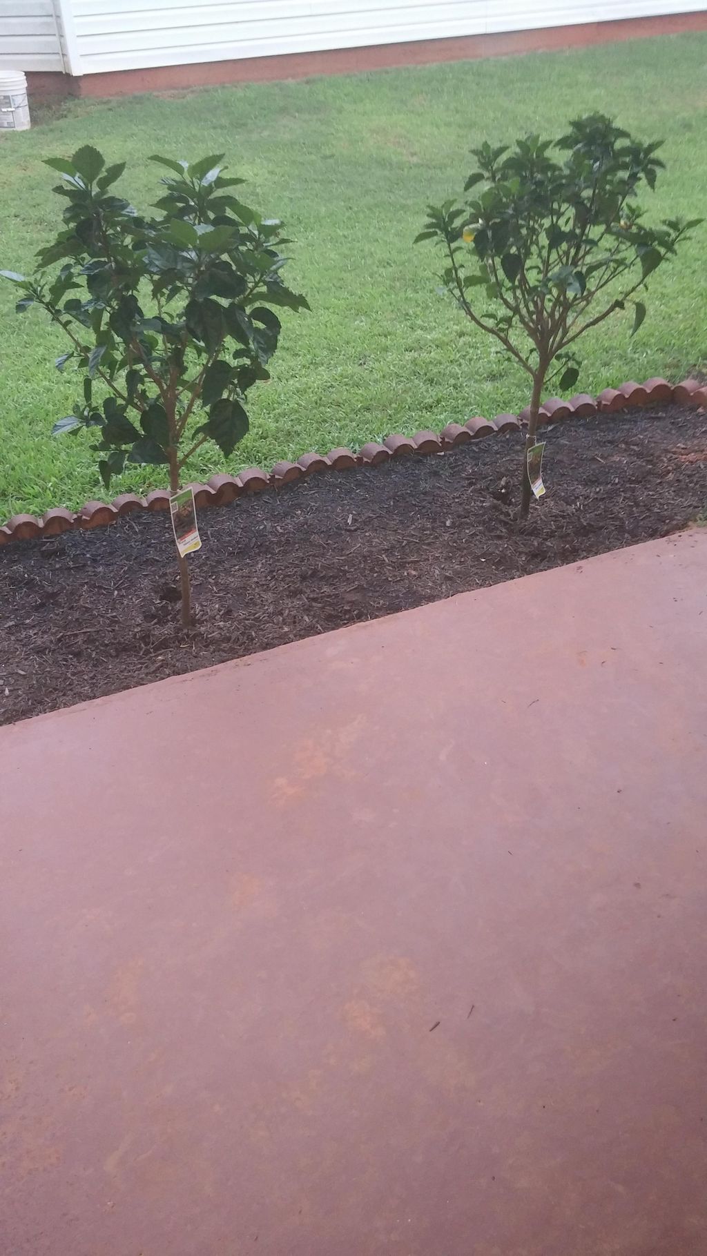 Hibiscus Landscaping - Ellenwood, GA
