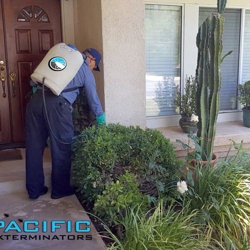 Keeping your home pest free!